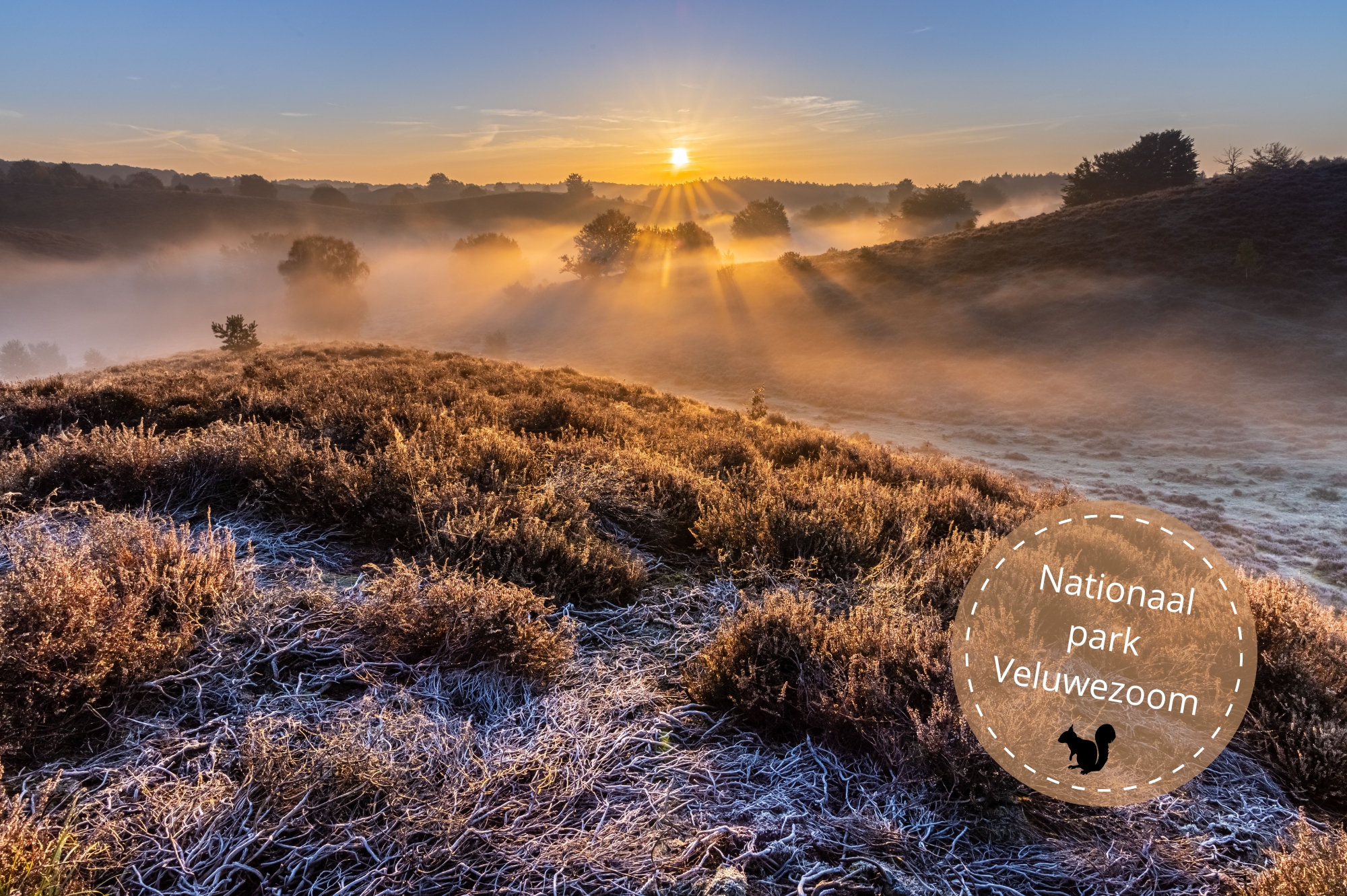 Posbank in de ochtend in het nationale park Veluwezoom.