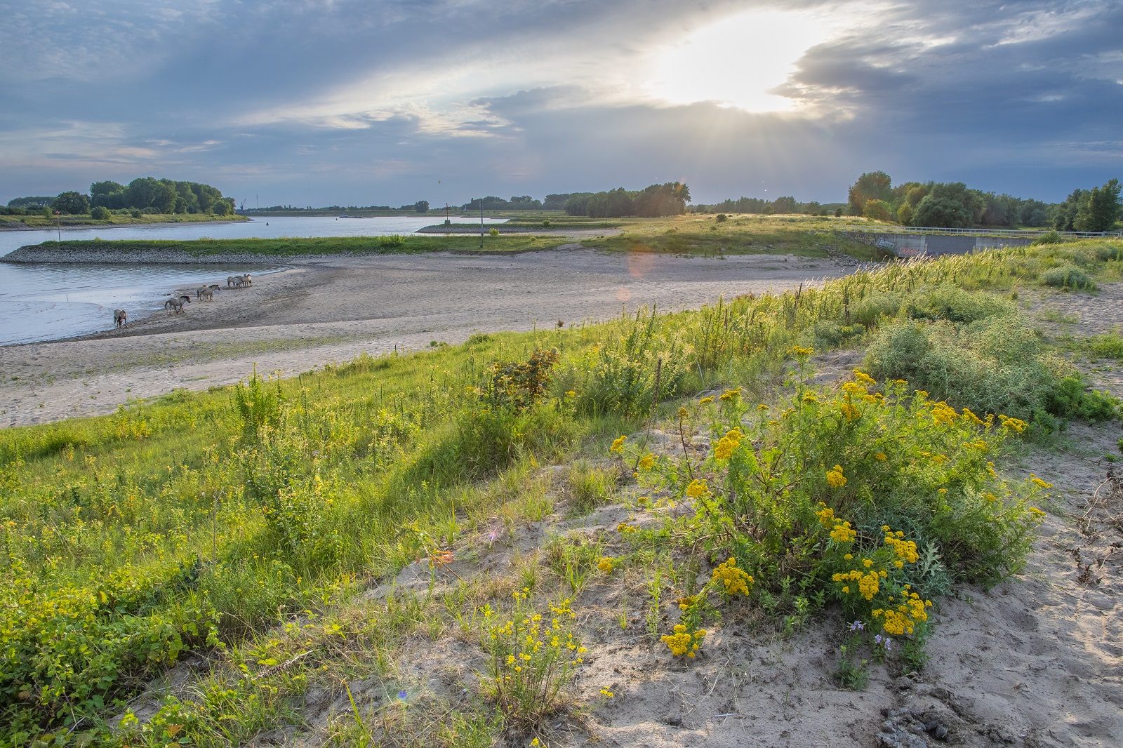 rivierenland rond Pannerden