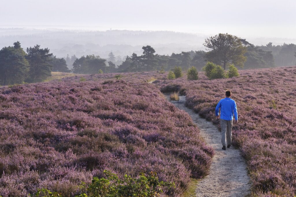 wandelaar archemerberg