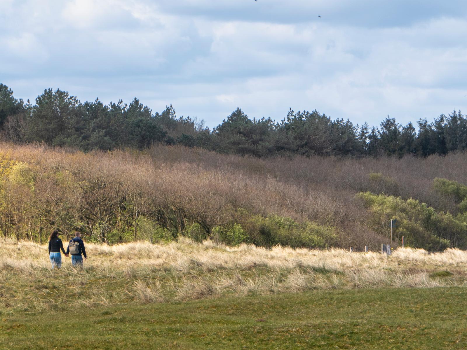Boswachterspad Ameland