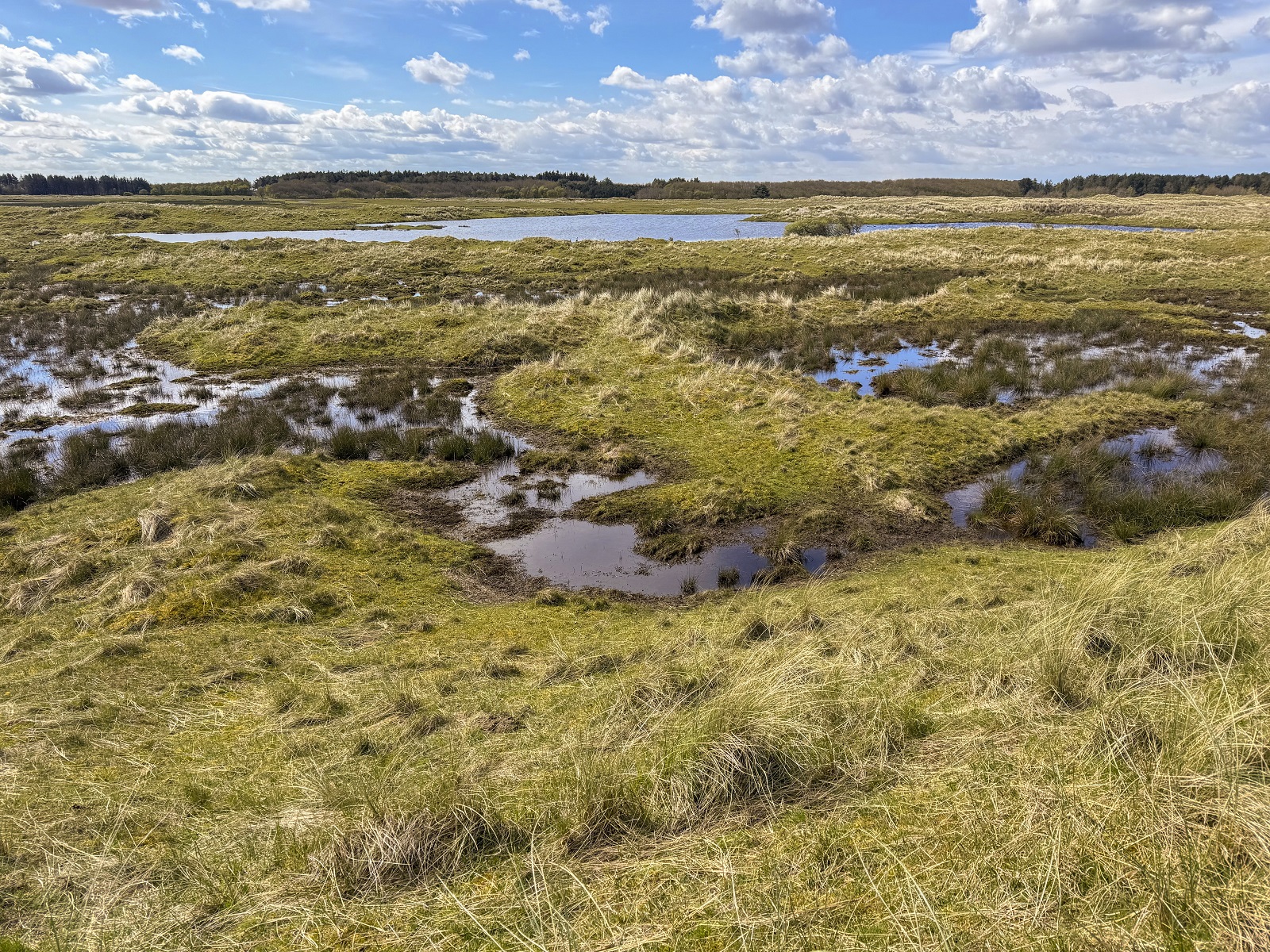 duinmeertjes in gebied Roosduinen op Ameland