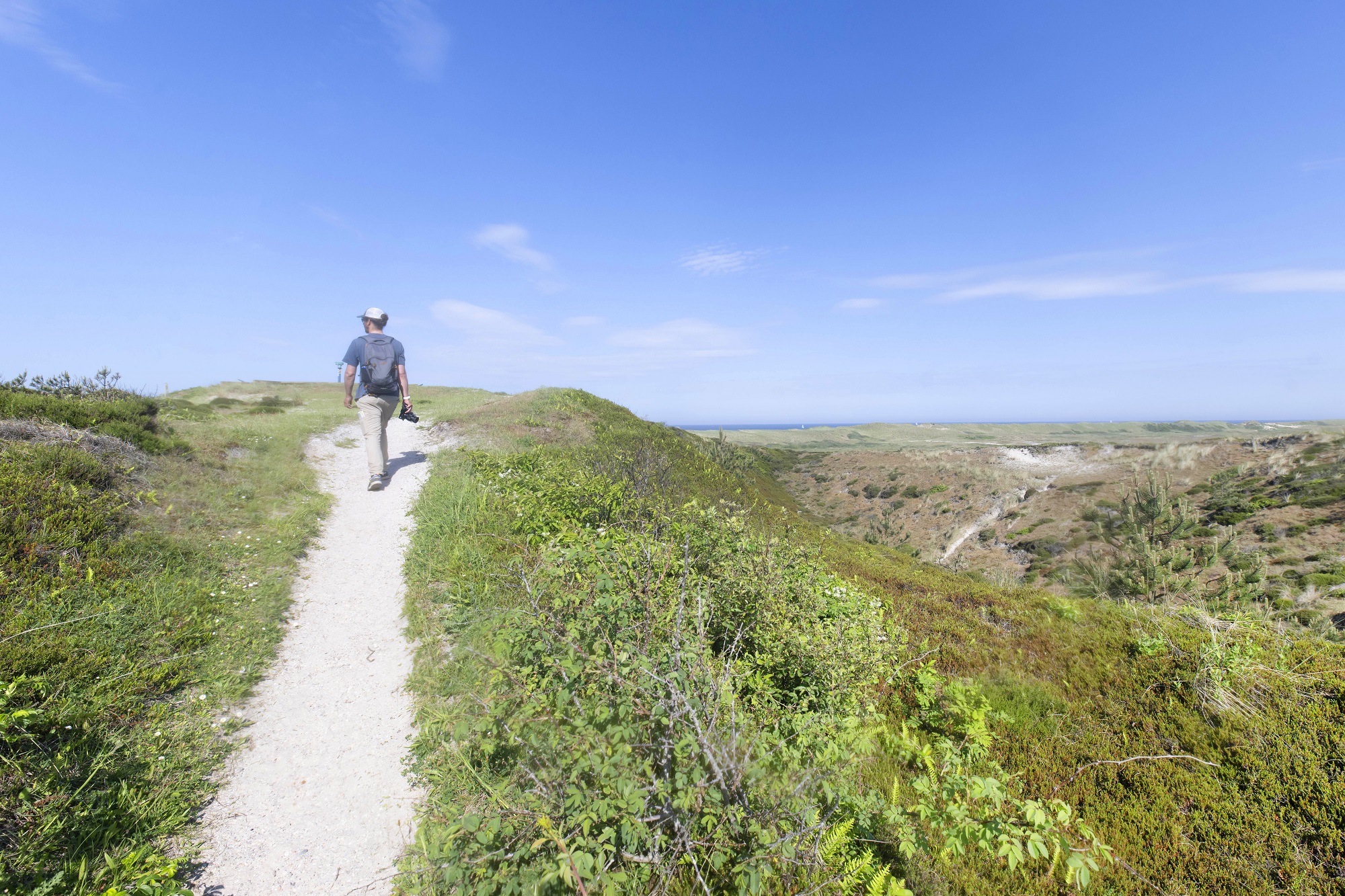 Wandelaar Schoorlse Duinen
