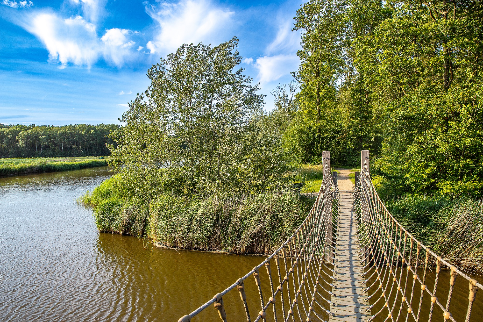 Touwbrug bij Boswachterspad Veerse Bos