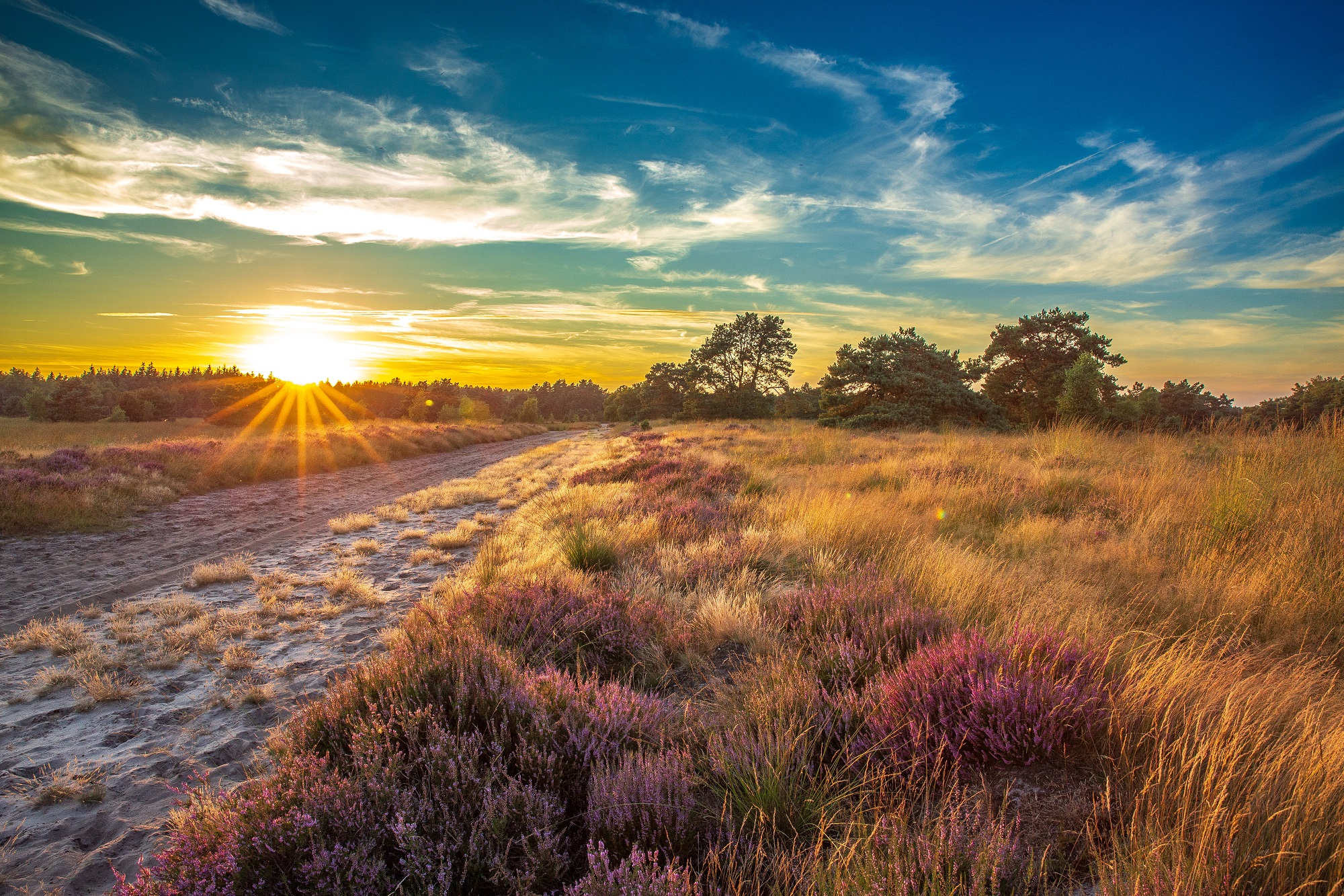 zonsondergang cartierheide