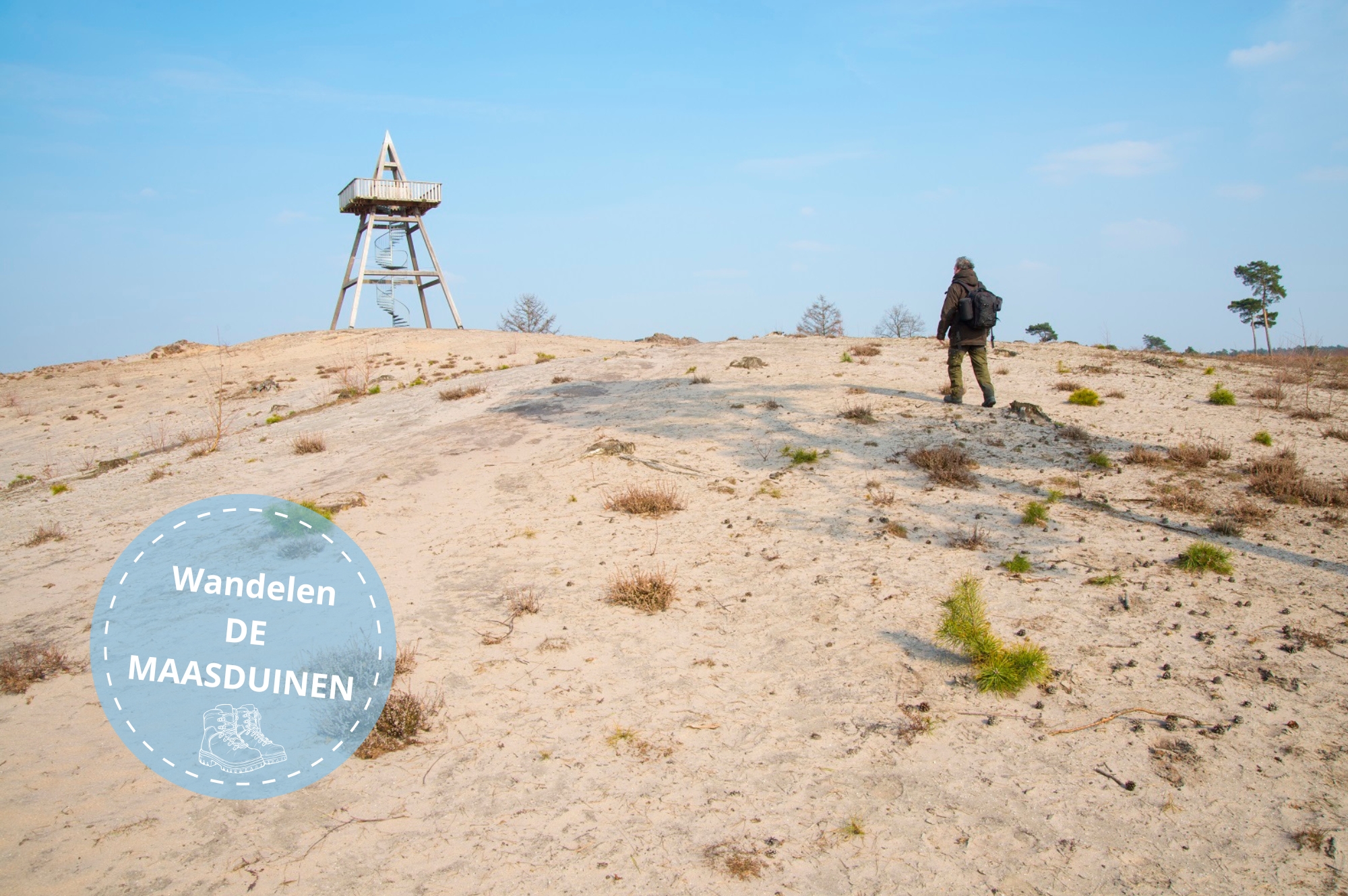 Wandelaar in De Maasduinen