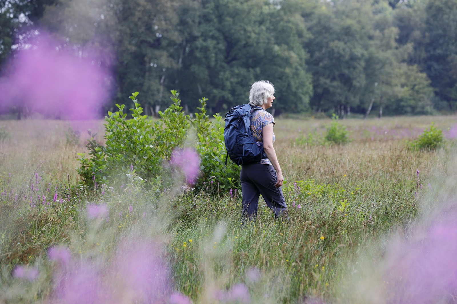 Wandelaar met rugzak in het Eexterveld